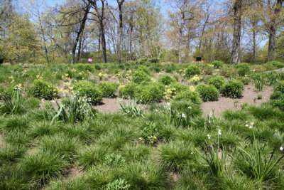 ir-130501_09946_11-30.jpg