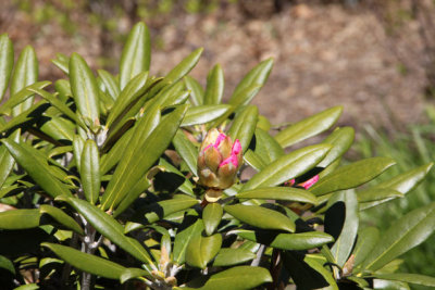 ir-130501_09954_11-32.jpg