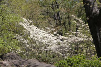 ir-130501_09955_11-33.jpg