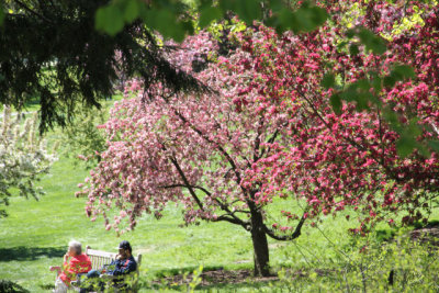 ir-130501_09964_11-39.jpg