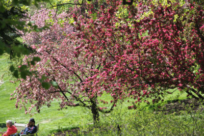 ir-130501_09965_11-39.jpg