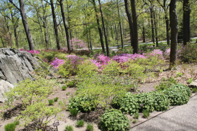 ir-130501_09967_11-40.jpg