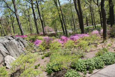 ir-130501_09968_11-40.jpg