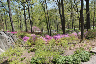 ir-130501_09969_11-40.jpg