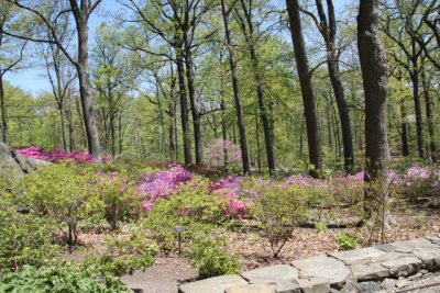 ir-130501_09971_11-41.jpg