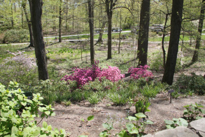 ir-130501_09973_11-42.jpg