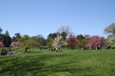 ir-130501_09974_11-42.jpg