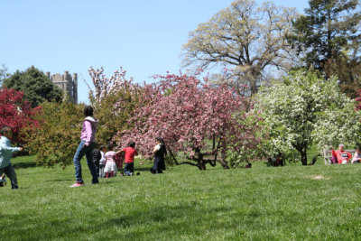 ir-130501_09975_11-42.jpg