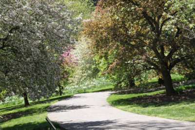 ir-130501_09976_11-44.jpg