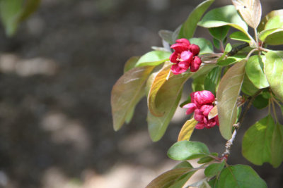 ir-130501_09979_11-46.jpg