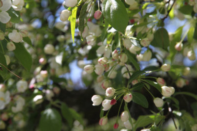 ir-130501_09985_11-47.jpg