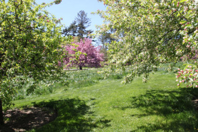ir-130501_09986_11-48.jpg