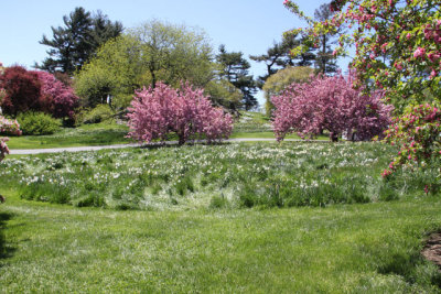 ir-130501_09987_11-48.jpg