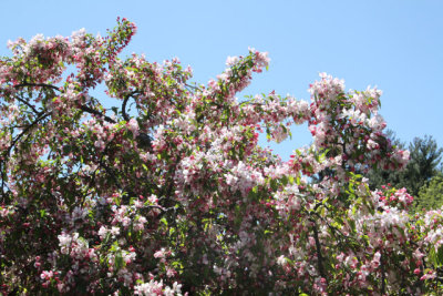 ir-130501_09988_11-48.jpg
