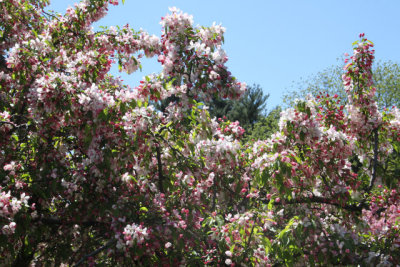ir-130501_09989_11-48.jpg