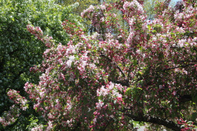 ir-130501_09990_11-48.jpg