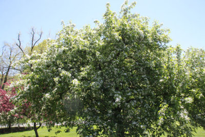 ir-130501_09991_11-49.jpg