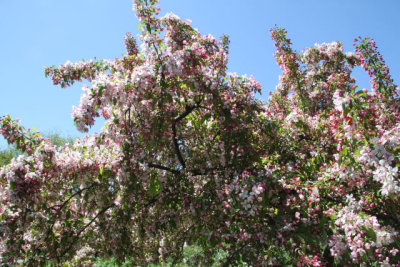ir-130501_09992_11-49.jpg