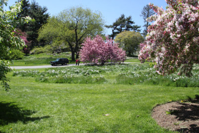 ir-130501_09993_11-49.jpg