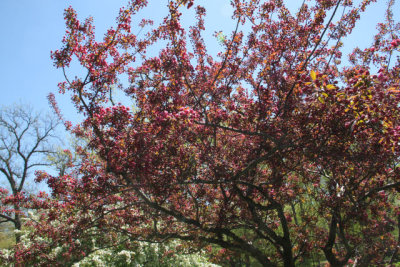 ir-130501_09995_11-49.jpg