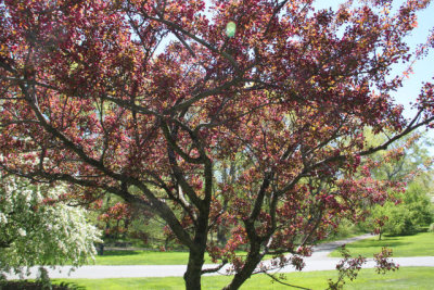 ir-130501_09996_11-50.jpg