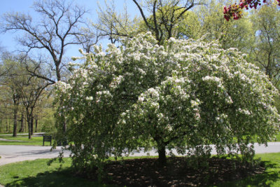 ir-130501_09997_11-50.jpg
