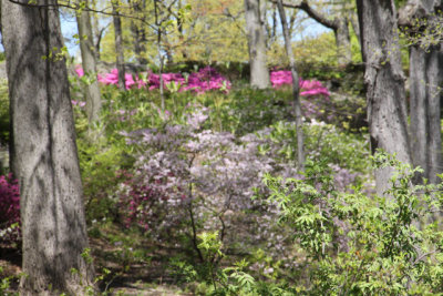 ir-130501_09999_11-51.jpg