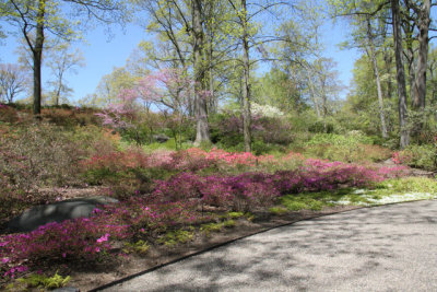 ir-130501_10010_12-01.jpg