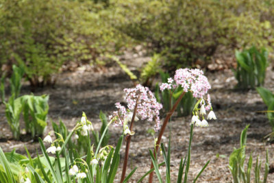 ir-130501_10011_12-02.jpg
