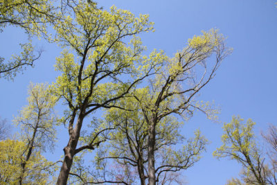 ir-130501_10014_12-03.jpg