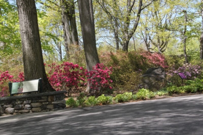 ir-130501_10018_12-06.jpg