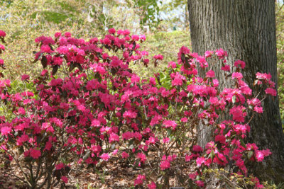 ir-130501_10019_12-07.jpg