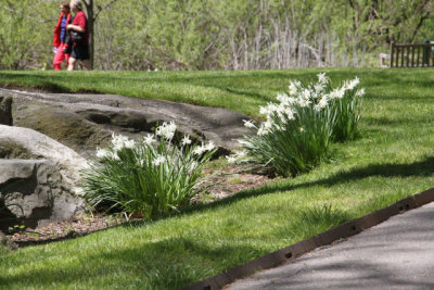 ir-130501_10021_12-10.jpg