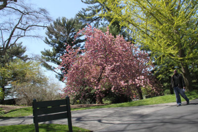 ir-130501_10022_12-15.jpg