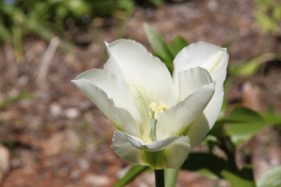 ir-130501_10026_12-22.jpg
