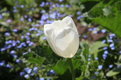 ir-130501_10028_12-22.jpg