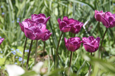 ir-130501_10029_12-23.jpg