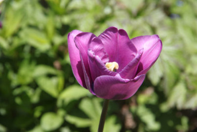 ir-130501_10031_12-23.jpg