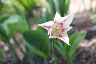 ir-130501_10035_12-24.jpg