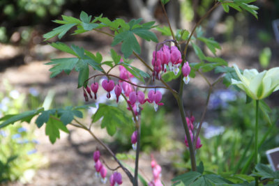 ir-130501_10039_12-27.jpg