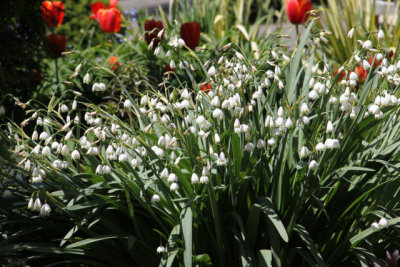 ir-130501_10048_12-31.jpg