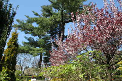 ir-130501_10049_12-32.jpg