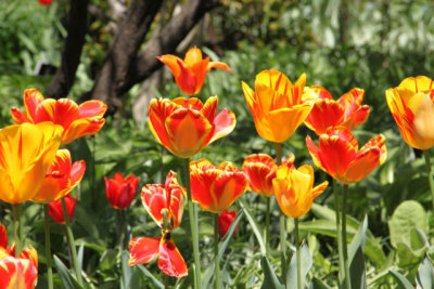 ir-130501_10054_12-34.jpg