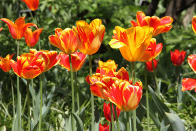 ir-130501_10055_12-34.jpg