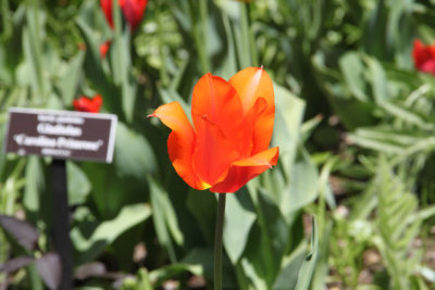 ir-130501_10056_12-34.jpg