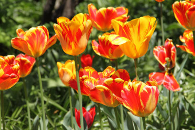 ir-130501_10057_12-34.jpg