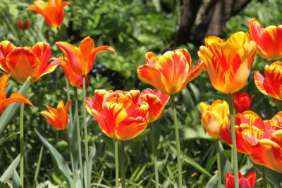 ir-130501_10058_12-34.jpg