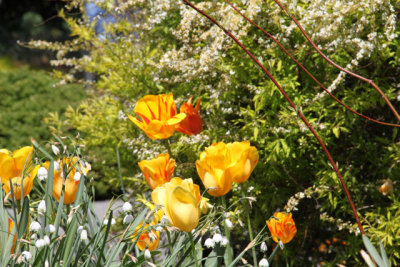 ir-130501_10060_12-35.jpg