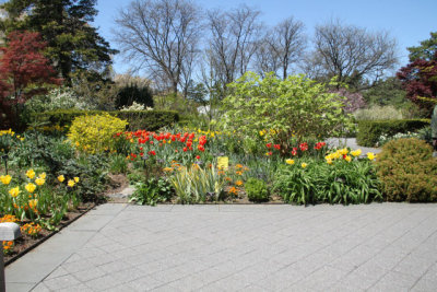 ir-130501_10066_12-37.jpg