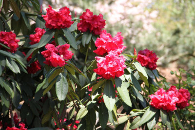 ir-130501_10068_12-40.jpg